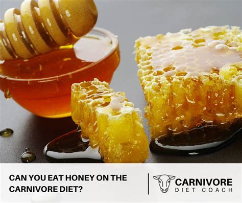 Can I Eat Honey on Carnivore Diet? Exploring the Sweet Dilemma in a Meat-Only World