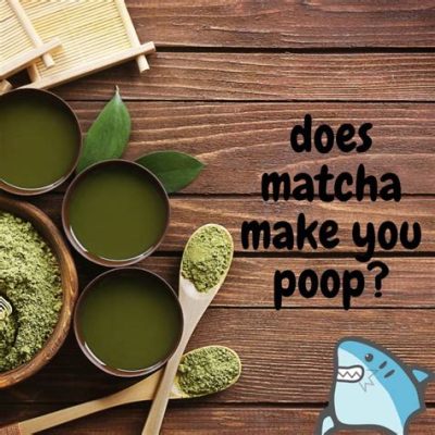 Does Matcha Tea Make You Poop? And Why Do Cats Love Watching You Drink It?