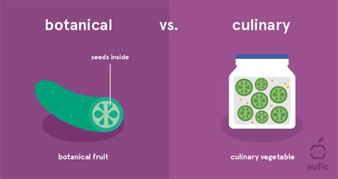 Is Pickles a Fruit? Exploring the Curious Conundrum of Culinary Classification