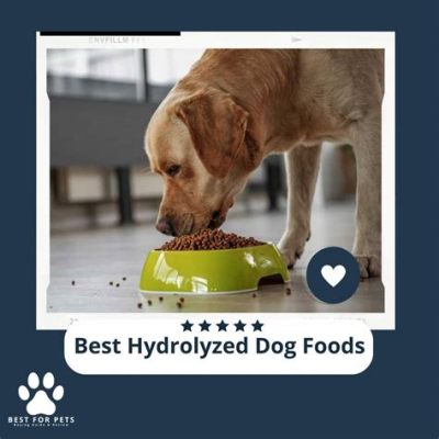 What Does Hydrolyzed Mean in Dog Food: A Deep Dive into Canine Nutrition and Beyond