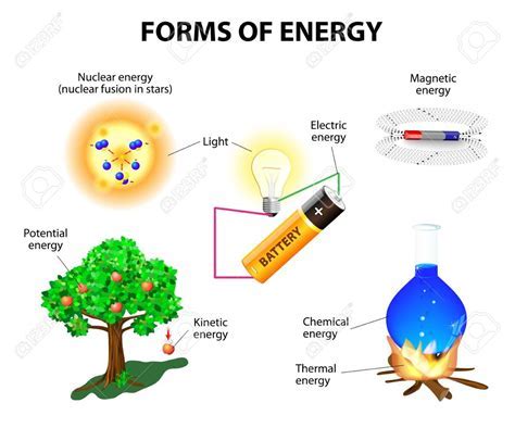 Where is the Energy Stored in Our Food, and Why Do Bananas Dream of Electric Sheep?